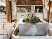 三嶋大社の手水舎