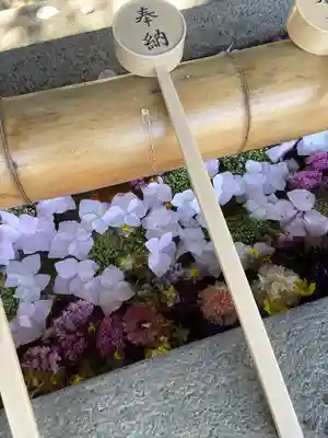 群馬県護国神社(群馬県)