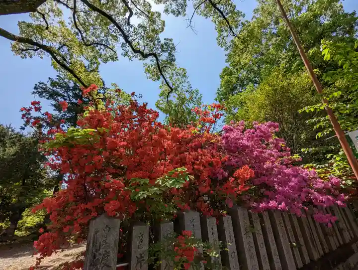 向日神社(京都府)