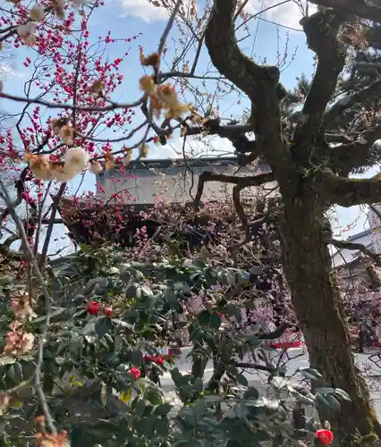 北野天満宮(京都府)