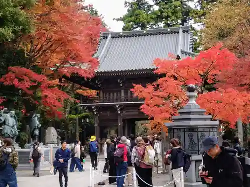 高尾山薬王院の山門