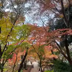 本土寺(千葉県)