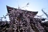 湯島天満宮の庭園
