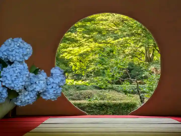 明月院(神奈川県)