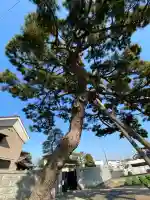 国土安穏寺の{uncategorized: "未分類", other: "その他", undefined: "問題あり", building: "その他建物", grave: "お墓", sacred_gate: "鳥居", guardian: "狛犬", statue: "像", buddha: "仏像", history: "歴史", nature: "自然", garden: "庭園", animal: "動物", pagoda: "塔", temizu: "手水舎", mountain_gate: "山門・神門", sanctuary: "本殿・本堂", subordinate: "末社・摂社", art: "芸術", scenery: "景色", jizo: "地蔵", ema: "絵馬", goshuin: "御朱印", omikuji: "おみくじ", items: "授与品その他", amulet: "お守り", goshuincho: "御朱印帳", eats: "食事", festival: "お祭り", votive_dance: "神楽", shichigosan: "七五三参", wedding: "結婚式", experience: "体験その他", initially: "初詣", around: "周辺", anti_infection: "感染症対策"}