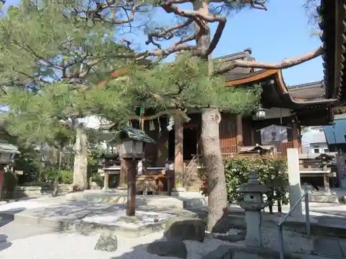 大将軍八神社の本殿