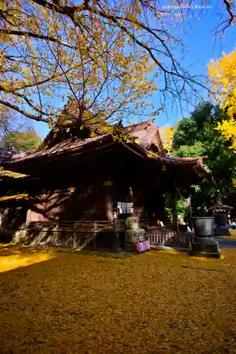 玉敷神社(埼玉県)