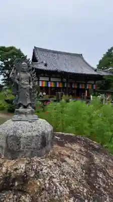 般若寺 ❁﻿コスモス寺❁(奈良県)