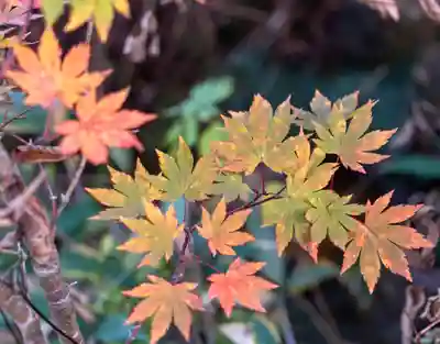 飯森神社奥社(長野県)