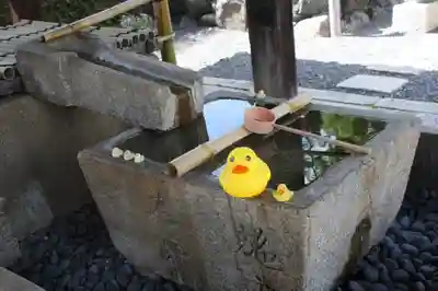 くろ谷 金戒光明寺(京都府)
