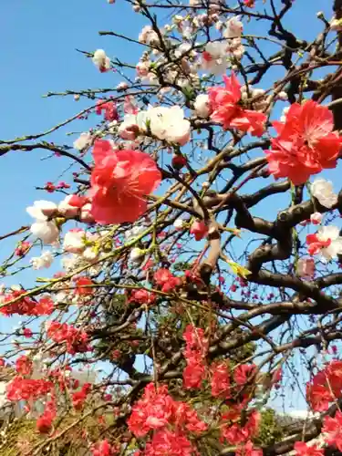 圓照寺(東京都)