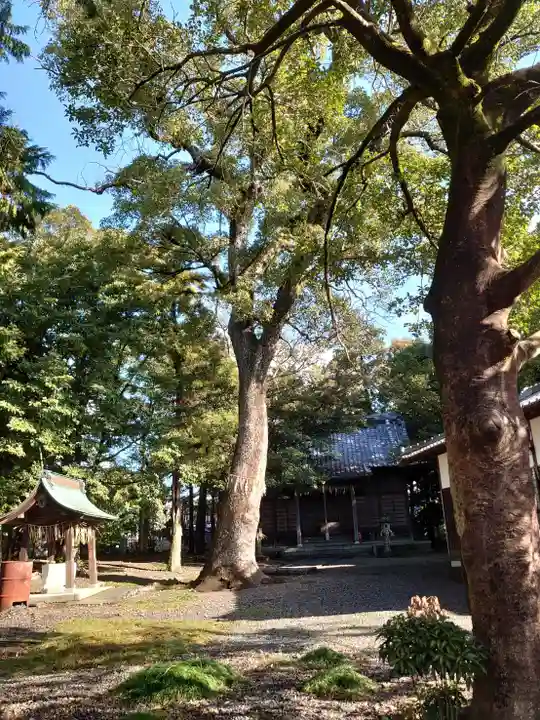川関神社(静岡県)