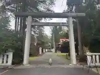 長沼神社の{uncategorized: "未分類", other: "その他", undefined: "問題あり", building: "その他建物", grave: "お墓", sacred_gate: "鳥居", guardian: "狛犬", statue: "像", buddha: "仏像", history: "歴史", nature: "自然", garden: "庭園", animal: "動物", pagoda: "塔", temizu: "手水舎", mountain_gate: "山門・神門", sanctuary: "本殿・本堂", subordinate: "末社・摂社", art: "芸術", scenery: "景色", jizo: "地蔵", ema: "絵馬", goshuin: "御朱印", omikuji: "おみくじ", items: "授与品その他", amulet: "お守り", goshuincho: "御朱印帳", eats: "食事", festival: "お祭り", votive_dance: "神楽", shichigosan: "七五三参", wedding: "結婚式", experience: "体験その他", initially: "初詣", around: "周辺", anti_infection: "感染症対策"}