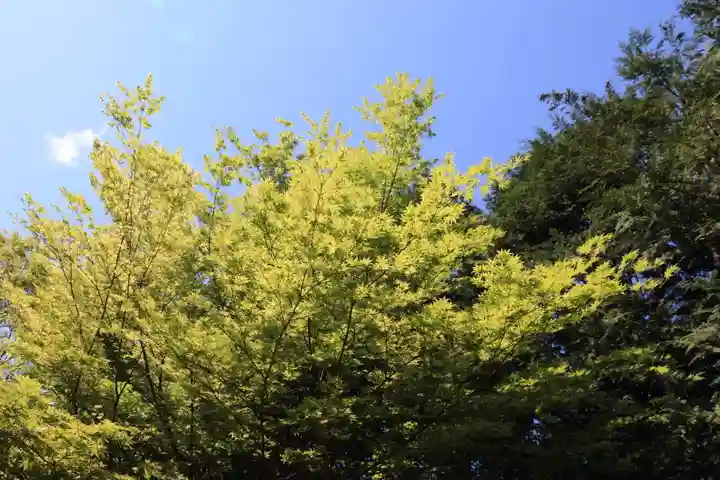 滑川神社 - 仕事と子どもの守り神の自然