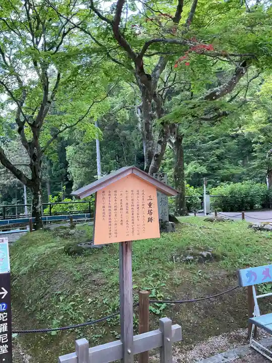 長谷寺(奈良県)