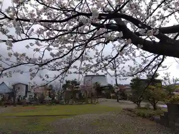 称念寺(新潟県)