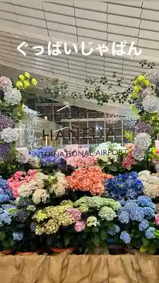 東京羽田 穴守稲荷神社(東京都)