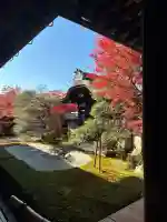 禅林寺(永観堂)の{uncategorized: "未分類", other: "その他", undefined: "問題あり", building: "その他建物", grave: "お墓", sacred_gate: "鳥居", guardian: "狛犬", statue: "像", buddha: "仏像", history: "歴史", nature: "自然", garden: "庭園", animal: "動物", pagoda: "塔", temizu: "手水舎", mountain_gate: "山門・神門", sanctuary: "本殿・本堂", subordinate: "末社・摂社", art: "芸術", scenery: "景色", jizo: "地蔵", ema: "絵馬", goshuin: "御朱印", omikuji: "おみくじ", items: "授与品その他", amulet: "お守り", goshuincho: "御朱印帳", eats: "食事", festival: "お祭り", votive_dance: "神楽", shichigosan: "七五三参", wedding: "結婚式", experience: "体験その他", initially: "初詣", around: "周辺", anti_infection: "感染症対策"}