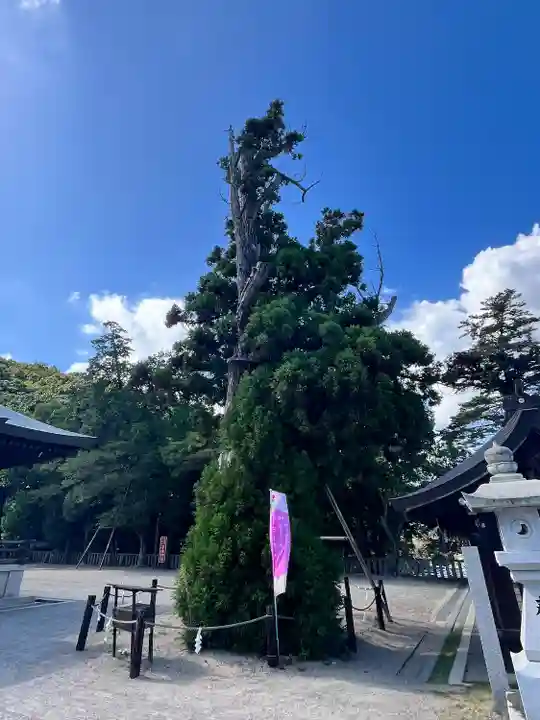 吉備津彦神社(岡山県)