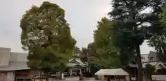 亀有香取神社の建物その他