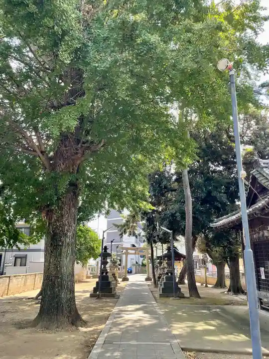 柴又八幡神社(東京都)