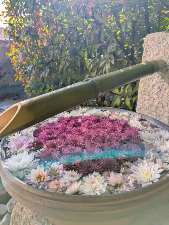 出雲大神宮の{uncategorized: "未分類", other: "その他", undefined: "問題あり", building: "その他建物", grave: "お墓", sacred_gate: "鳥居", guardian: "狛犬", statue: "像", buddha: "仏像", history: "歴史", nature: "自然", garden: "庭園", animal: "動物", pagoda: "塔", temizu: "手水舎", mountain_gate: "山門・神門", sanctuary: "本殿・本堂", subordinate: "末社・摂社", art: "芸術", scenery: "景色", jizo: "地蔵", ema: "絵馬", goshuin: "御朱印", omikuji: "おみくじ", items: "授与品その他", amulet: "お守り", goshuincho: "御朱印帳", eats: "食事", festival: "お祭り", votive_dance: "神楽", shichigosan: "七五三参", wedding: "結婚式", experience: "体験その他", initially: "初詣", around: "周辺", anti_infection: "感染症対策"}