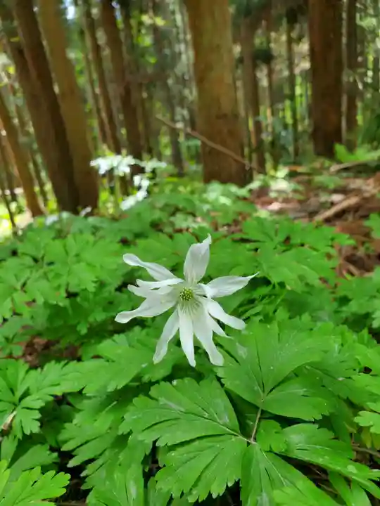 磐椅神社(福島県)