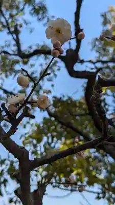 智積院(京都府)