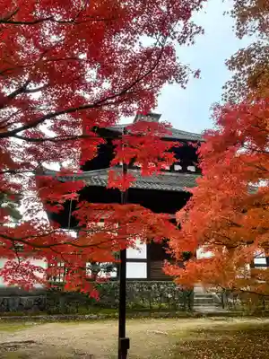 東福禅寺（東福寺）(京都府)