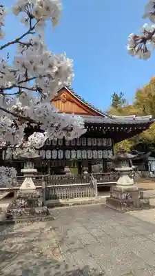 向日神社(京都府)