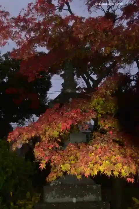 高幡不動尊 金剛寺(東京都)