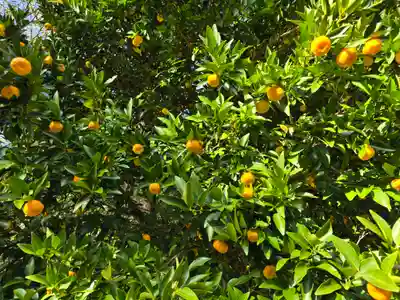菓祖神社（吉田神社境内社）(京都府)