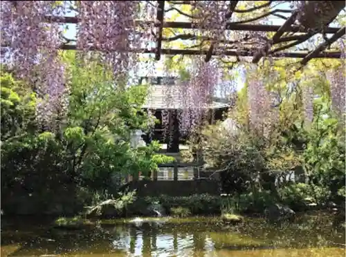 西新井大師総持寺の自然