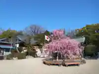 岡崎天満宮(愛知県)