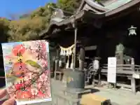 根岸八幡神社の{uncategorized: "未分類", other: "その他", undefined: "問題あり", building: "その他建物", grave: "お墓", sacred_gate: "鳥居", guardian: "狛犬", statue: "像", buddha: "仏像", history: "歴史", nature: "自然", garden: "庭園", animal: "動物", pagoda: "塔", temizu: "手水舎", mountain_gate: "山門・神門", sanctuary: "本殿・本堂", subordinate: "末社・摂社", art: "芸術", scenery: "景色", jizo: "地蔵", ema: "絵馬", goshuin: "御朱印", omikuji: "おみくじ", items: "授与品その他", amulet: "お守り", goshuincho: "御朱印帳", eats: "食事", festival: "お祭り", votive_dance: "神楽", shichigosan: "七五三参", wedding: "結婚式", experience: "体験その他", initially: "初詣", around: "周辺", anti_infection: "感染症対策"}