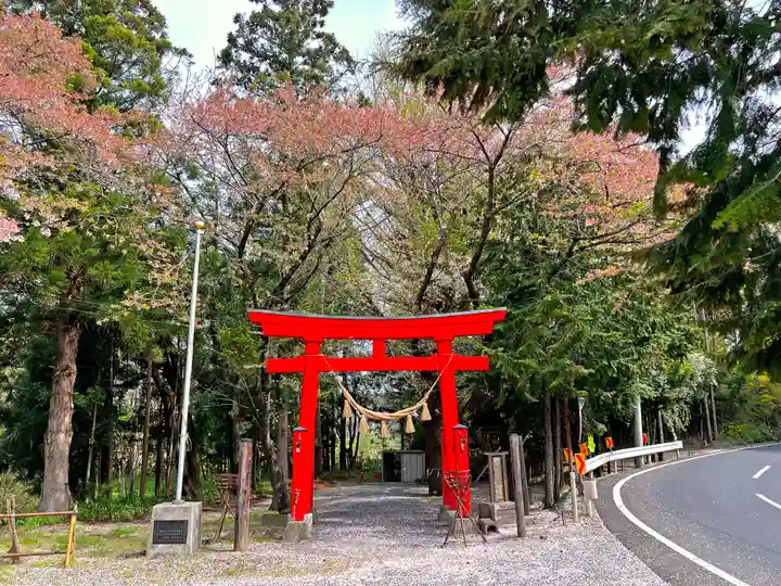 石手堰神社の鳥居