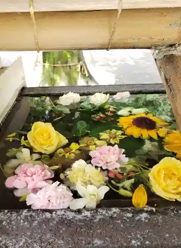 鳩森八幡神社の手水舎