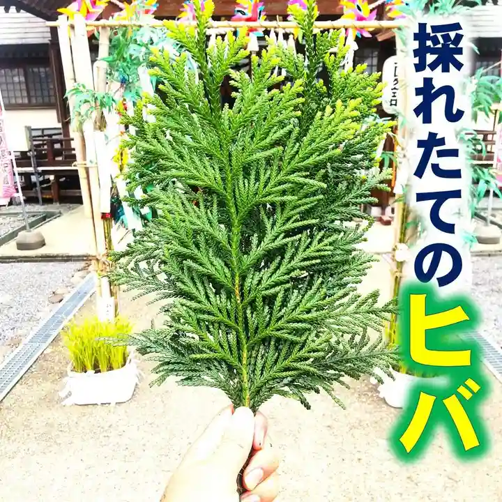 七重浜海津見神社(北海道)