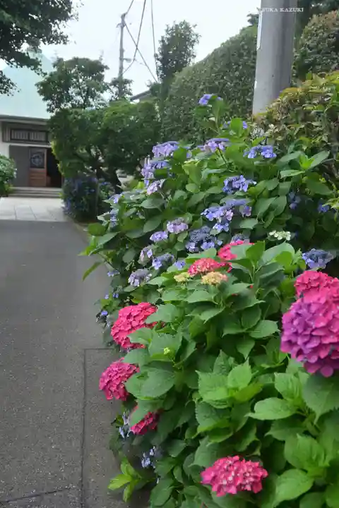 宝祥寺(東京都)