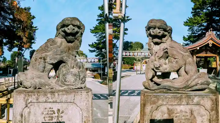 中野沼袋氷川神社の狛犬