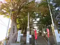 篠原八幡神社の自然