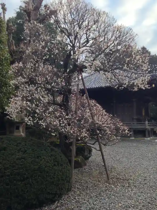 成田山新勝寺(千葉県)