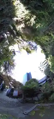 大綱金刀比羅神社(神奈川県)