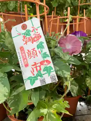 真源寺（入谷鬼子母神）(東京都)