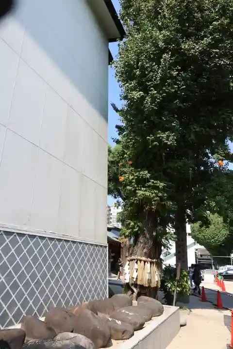 櫛田神社の自然