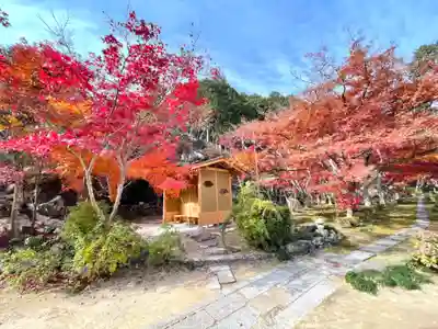 瓦屋寺(滋賀県)