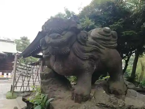 菊田神社の狛犬