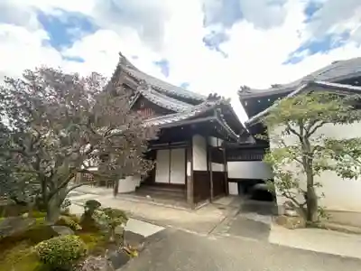 新德禅寺 (新徳寺)のその他建物