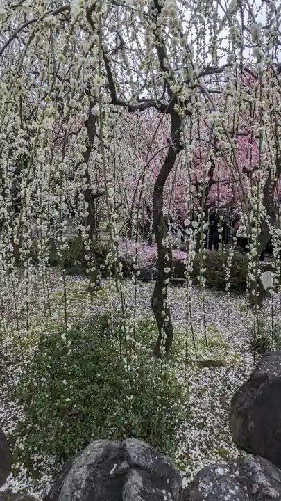 城南宮の{uncategorized: "未分類", other: "その他", undefined: "問題あり", building: "その他建物", grave: "お墓", sacred_gate: "鳥居", guardian: "狛犬", statue: "像", buddha: "仏像", history: "歴史", nature: "自然", garden: "庭園", animal: "動物", pagoda: "塔", temizu: "手水舎", mountain_gate: "山門・神門", sanctuary: "本殿・本堂", subordinate: "末社・摂社", art: "芸術", scenery: "景色", jizo: "地蔵", ema: "絵馬", goshuin: "御朱印", omikuji: "おみくじ", items: "授与品その他", amulet: "お守り", goshuincho: "御朱印帳", eats: "食事", festival: "お祭り", votive_dance: "神楽", shichigosan: "七五三参", wedding: "結婚式", experience: "体験その他", initially: "初詣", around: "周辺", anti_infection: "感染症対策"}