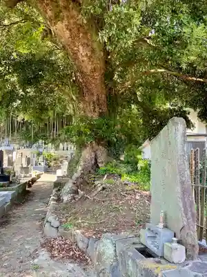 真福寺(神奈川県)